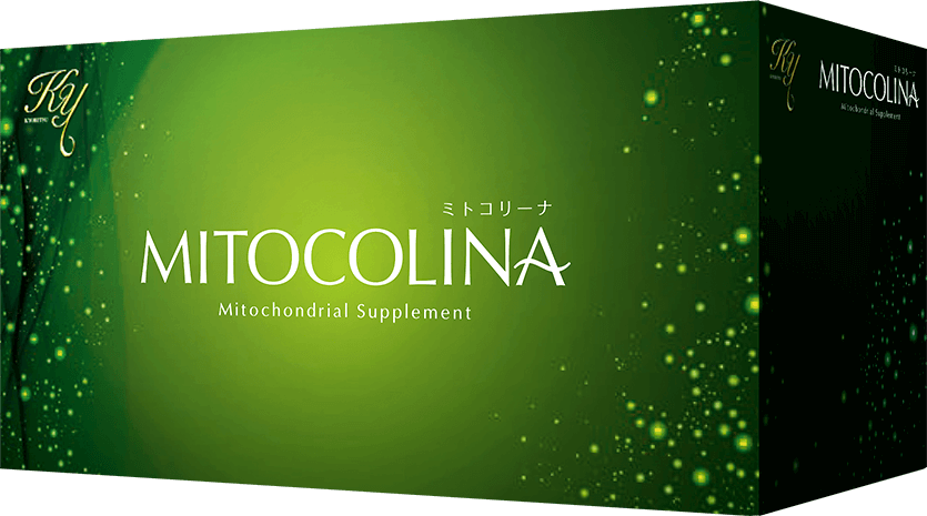 ミトコリーナ公式サイト】遺伝子に働きかけ、ミトコンドリアの量と質を 