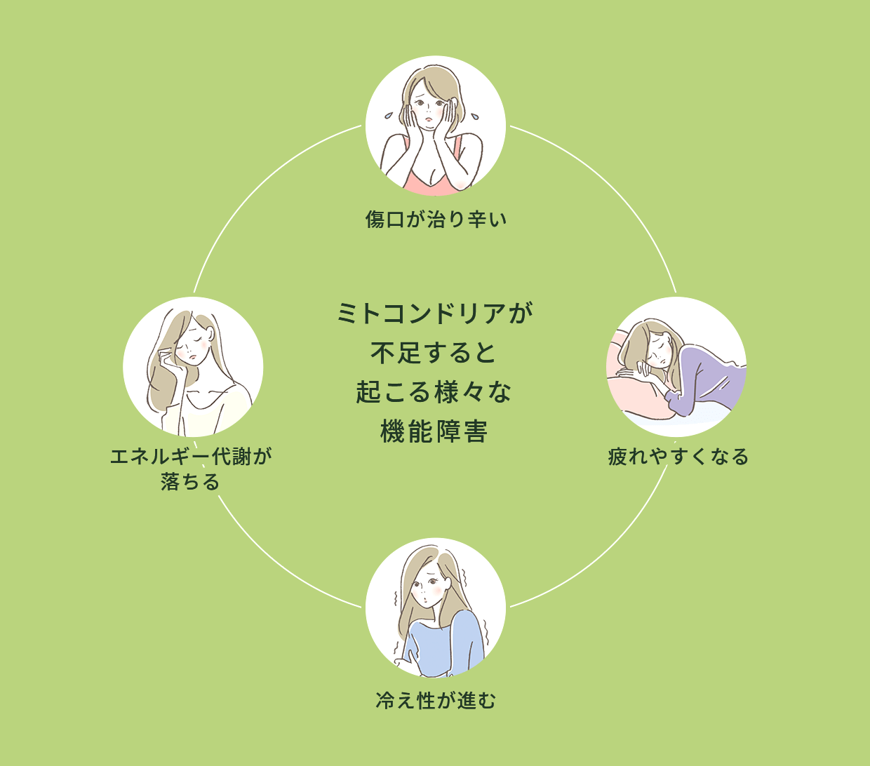 ミトコンドリアが不足すると起こる様々な機能障害